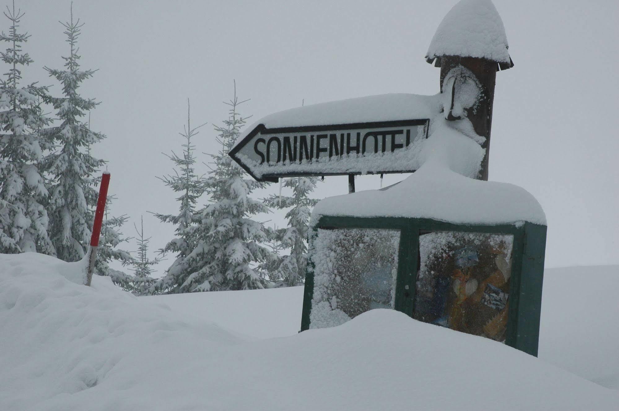 Sonnenhotel Zaubek Treffen Exterior photo